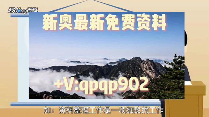 2024新奥资料免费49图库--精选解释解析落实,新奥资料免费图库精选解析，落实与实践之路