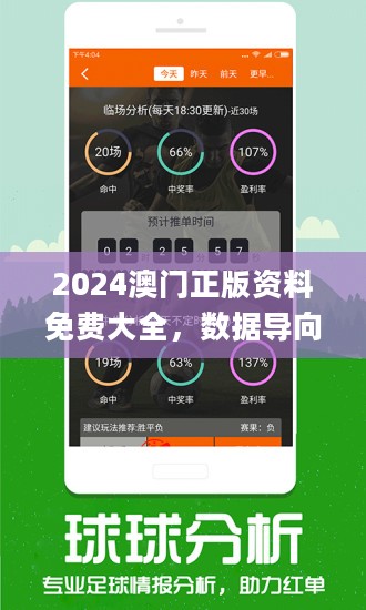 2024新澳门正版免费资料--精选解释解析落实,2024新澳门正版免费资料——精选解释解析与落实