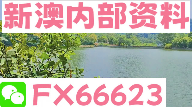 新澳最精准免费资料大全298期--精选解释解析落实,新澳最精准免费资料大全298期——精选解释解析落实