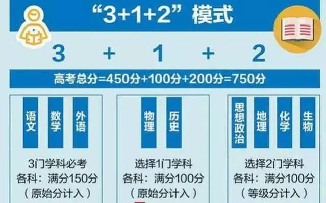 2024年新溪门天天开彩--精选解释解析落实,新溪门天天开彩，解析与落实策略