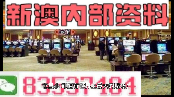 2024澳门精准正版澳门--精选解释解析落实,澳门精准正版解析与落实策略，未来之路的探索与解析