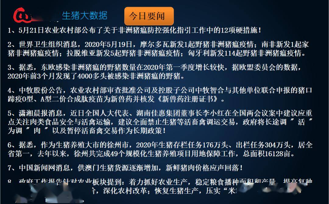 新澳今天开什么特马--精选解释解析落实,新澳今日开马特，解析精选策略与落实行动