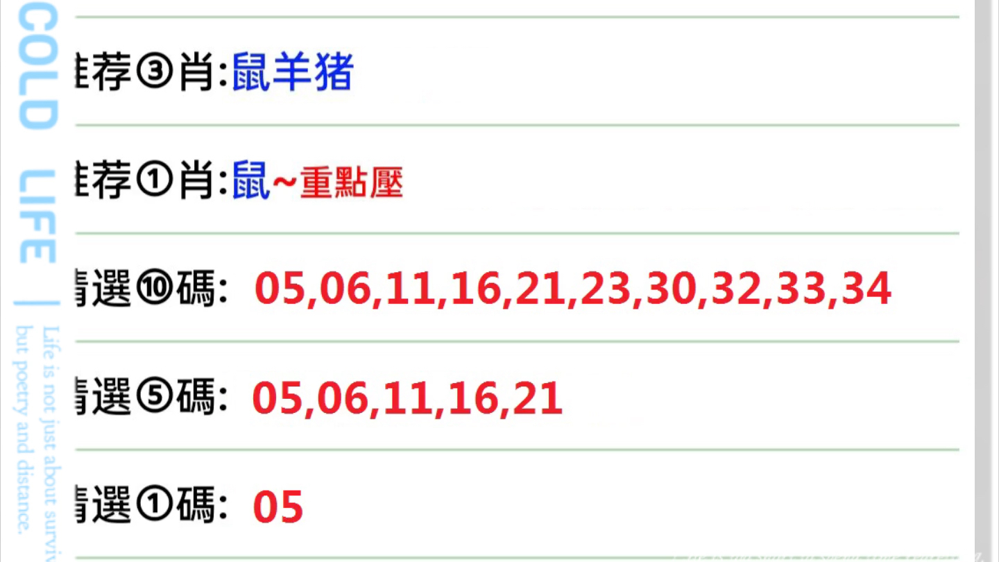 024新澳门六开奖号码--精选解释解析落实,探索与解析，新澳门六开奖号码的奥秘与落实策略