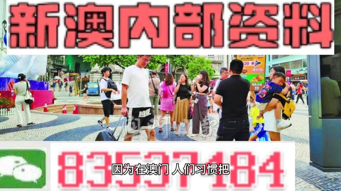 2024新澳门正版精准--精选解释解析落实,新澳门正版精准解析——精选解释与落实策略