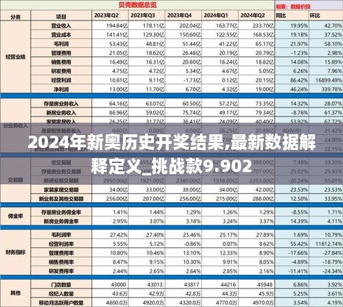 2024新奥历史开奖记录49期--精选解释解析落实,揭秘新奥历史开奖记录第49期，解析与落实精选策略