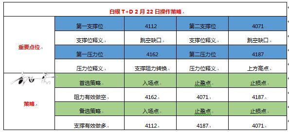 白银t十d最新建议,白银T+D投资最新建议与策略分析